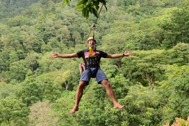 Zipline  Adventure with Tiger Kingdom