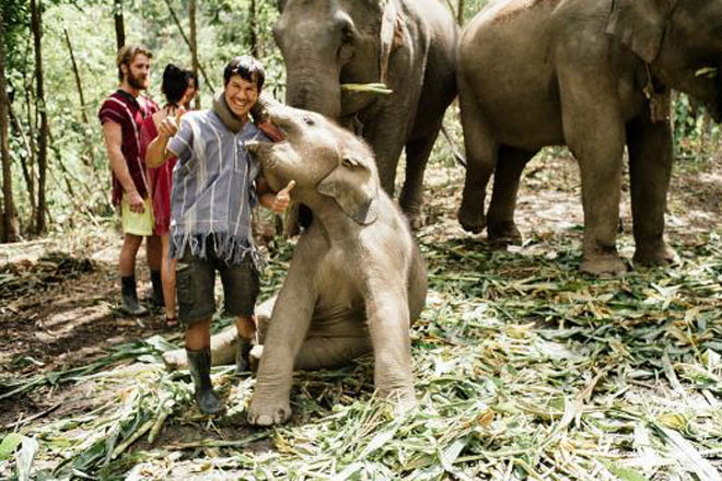 Phuket Elephant Green Sanctuary