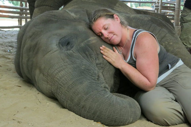 Phuket Elephant Green Sanctuary