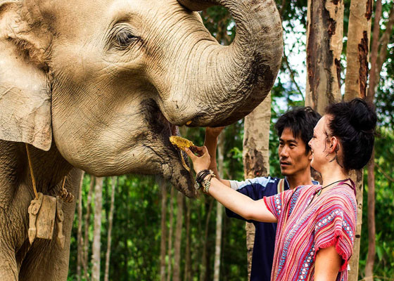 ATV Bike &  Elephant Bathing Tours