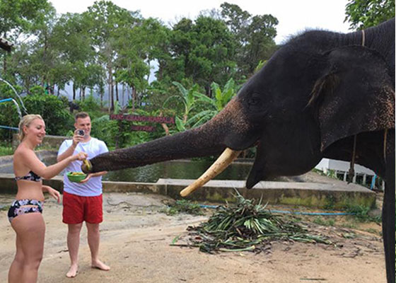 ATV Bike &  Elephant Bathing Tours