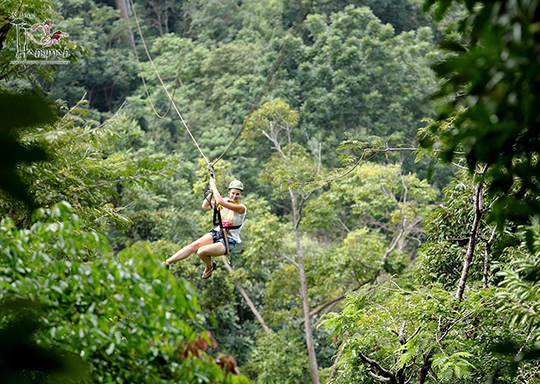 Ziplines Adventure with Tiger Kingdom