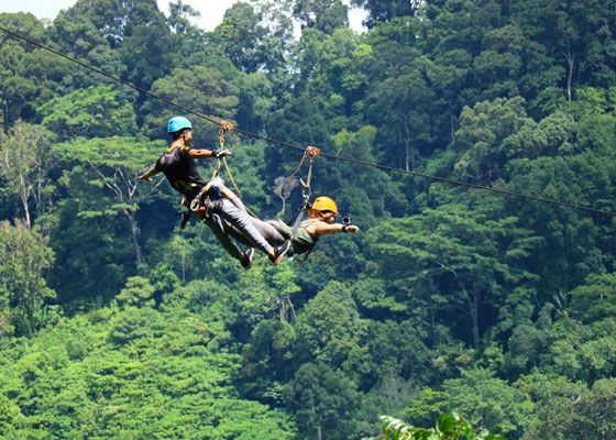 Flying Hanuman Ziplines