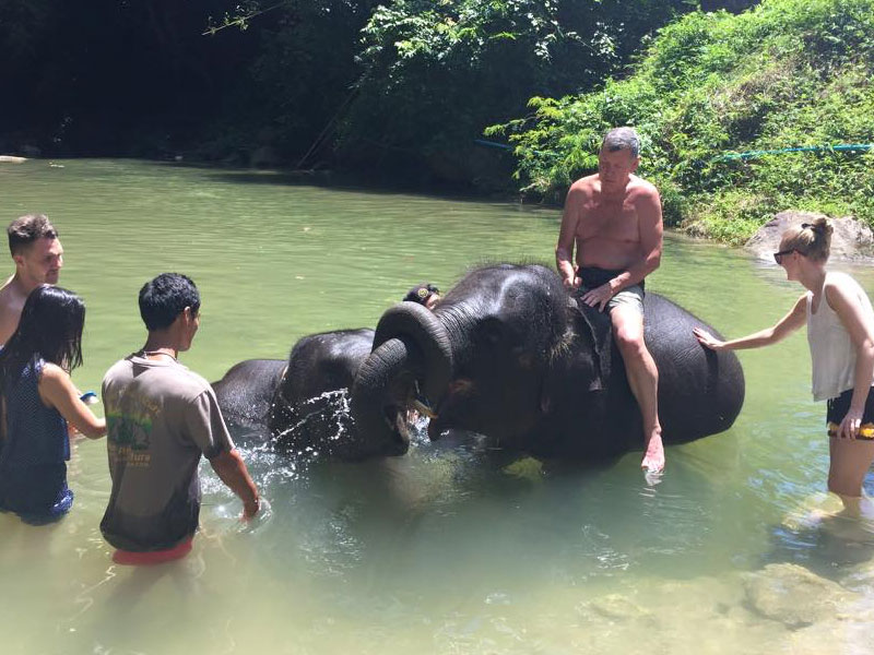 Phuket Elephant Bathing Tours